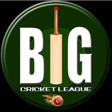 Big Cricket League