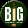 Big Cricket League